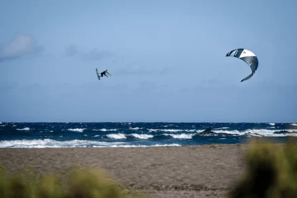 JĖGOS AITVARAS RRD GOLD OBSESSION Y30 - Image 7