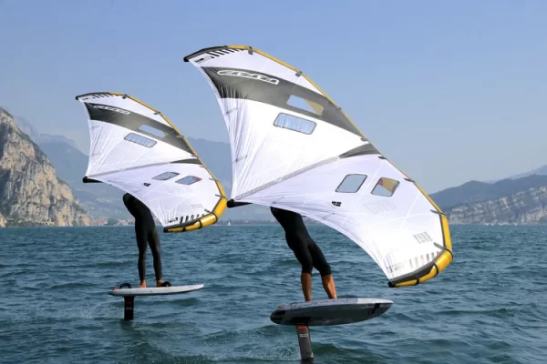 RRD GOLD WING BOOM Y29 - Image 10